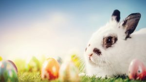 easter-bunny-FB-Event